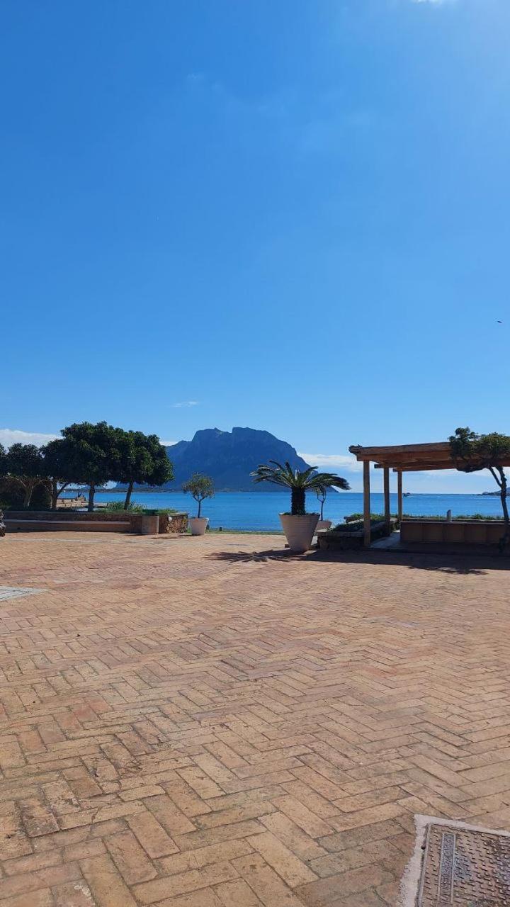 Porto San Paolo A 50 Mt Dal Mare Villa Room photo